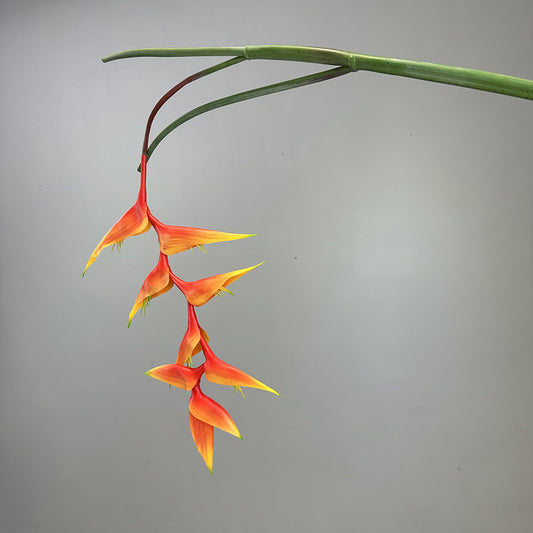 Artificial Heliconia rostrata 97cm