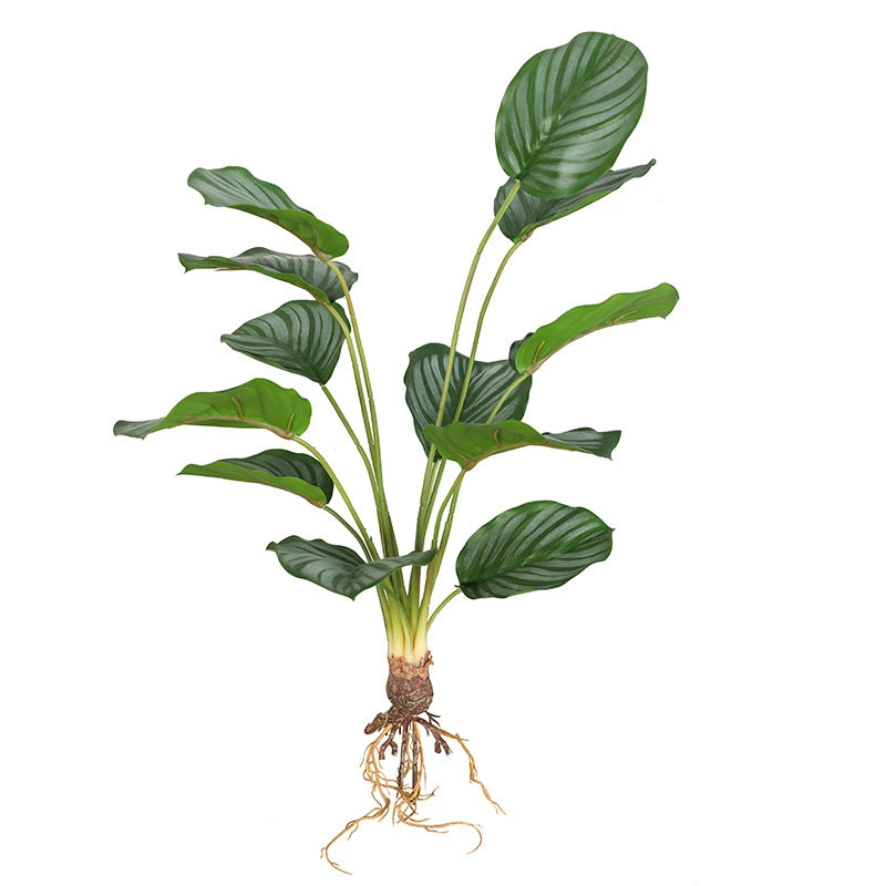 Artificial Calathea (Bamboo-Style Prayer Plant)