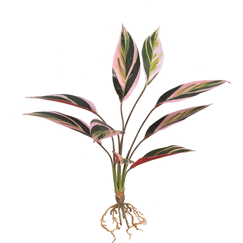 Artificial Calathea (Bamboo-Style Prayer Plant)