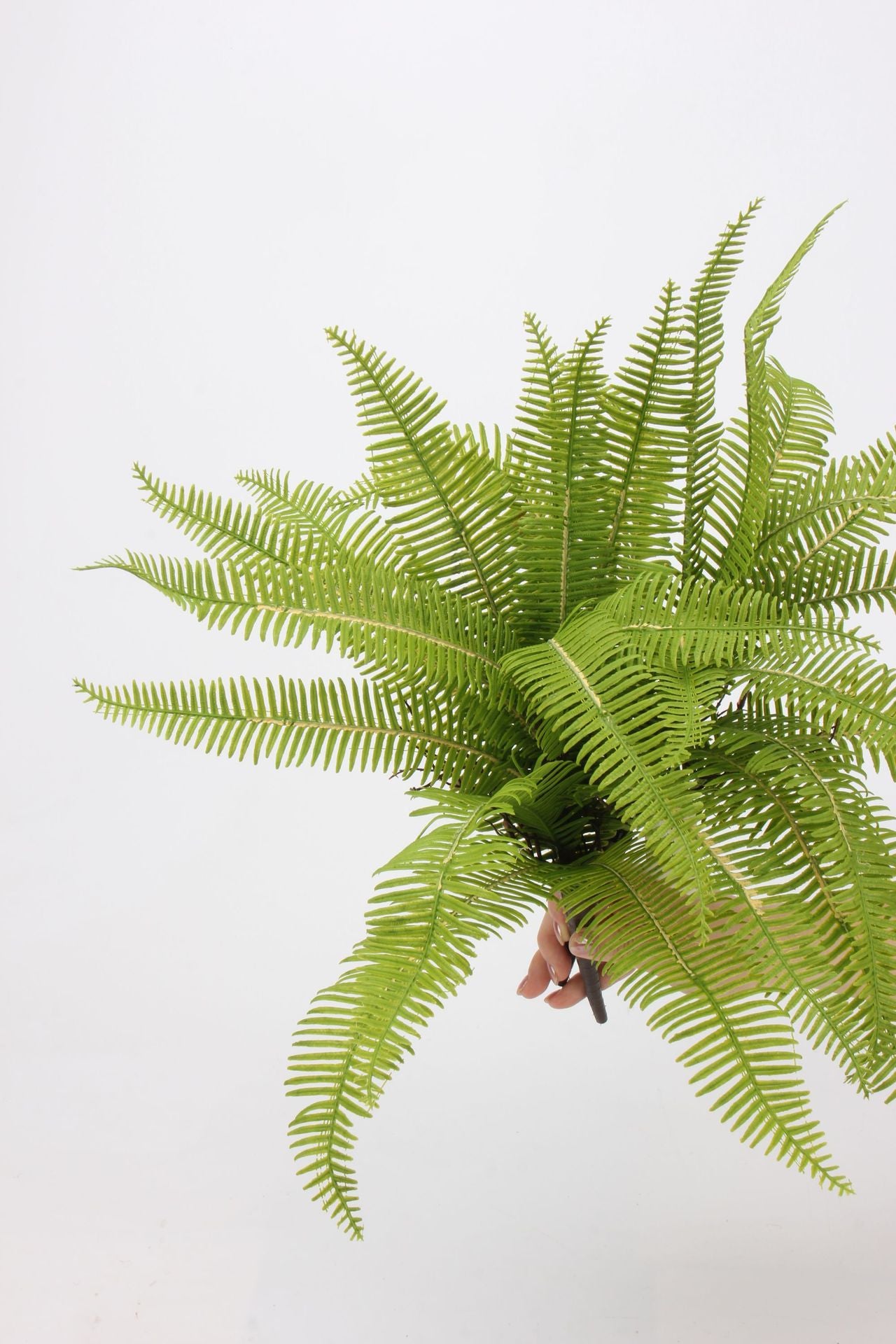 Real Touch Artificial Fern Spray– Soft Rubber Texture(36cm X 45cm)