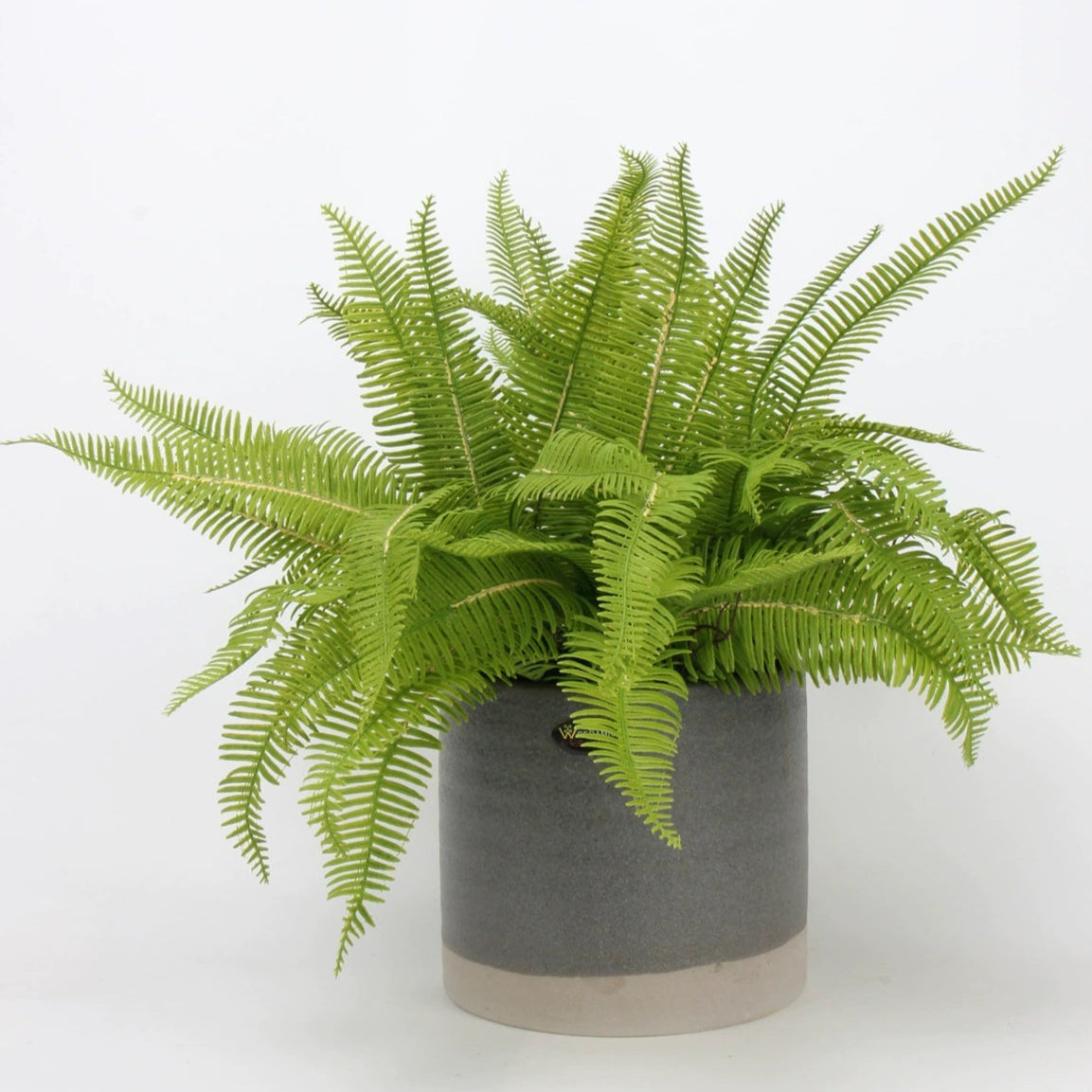 Real Touch Artificial Fern Spray– Soft Rubber Texture(36cm X 45cm)