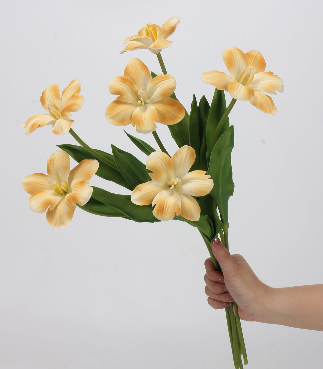 Brownie Series Real Touch Tulip with one bloom 48cm
