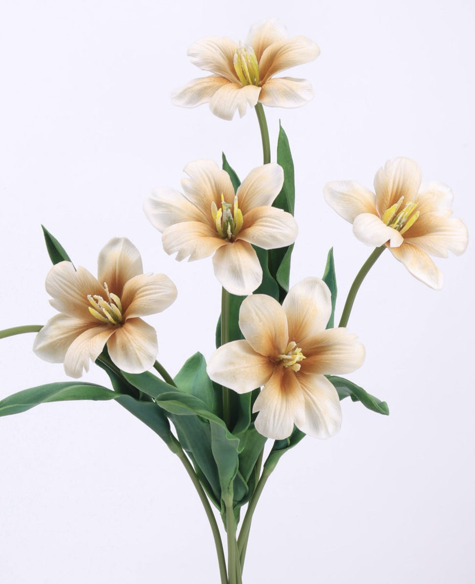 Brownie Series Real Touch Tulip with one bloom 48cm