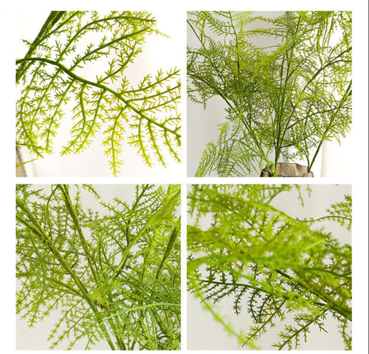 Hyper-real Asparagus setaceus (98, 118cm)