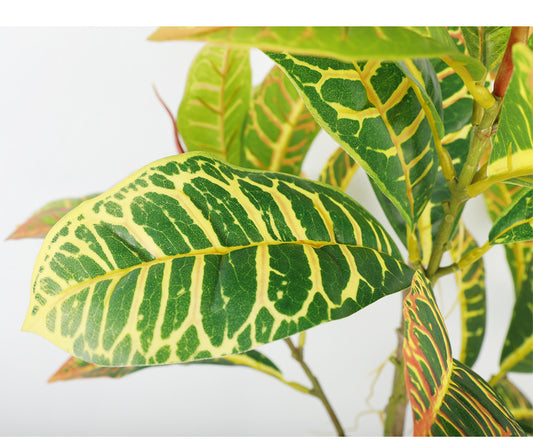 Hyper-realistic codiaeum variegatum(86, 120cm)
