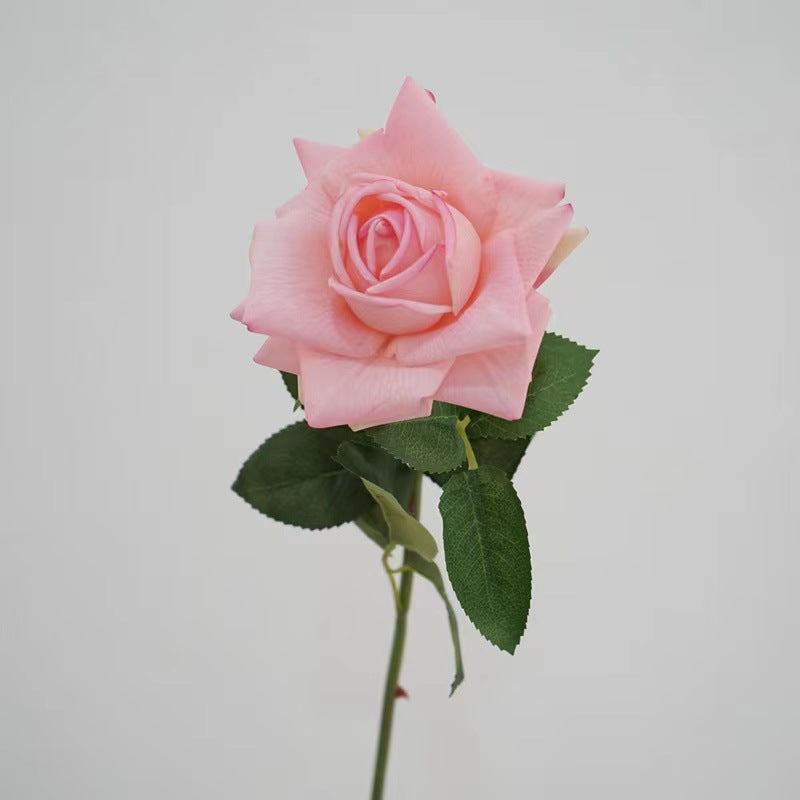 Real-Touch Diana Rose with single bloom