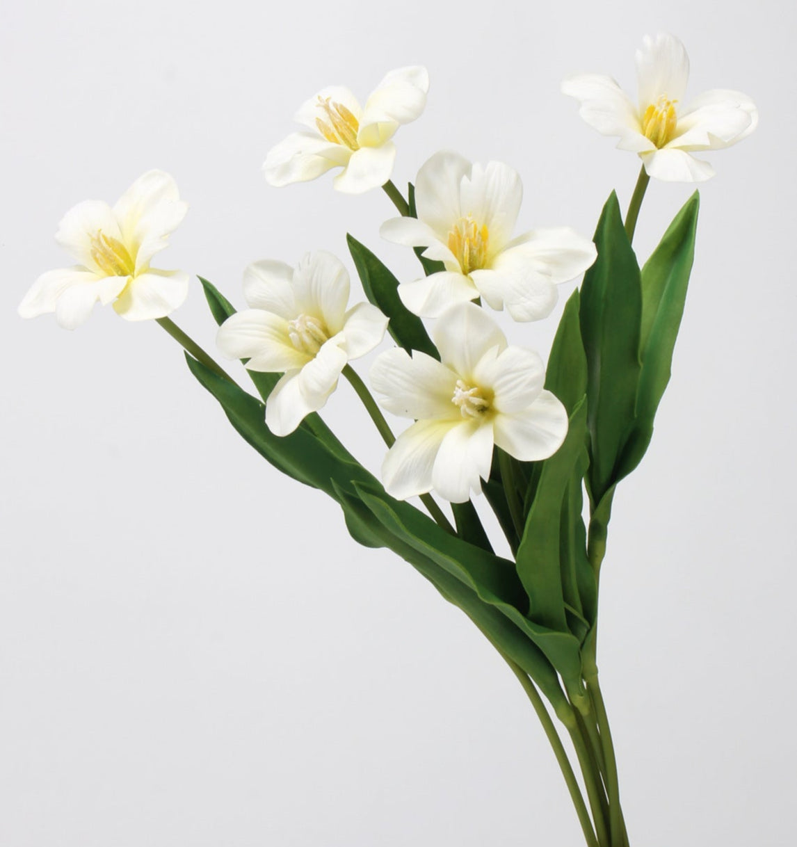 Brownie Series Real Touch Tulip with one bloom 48cm