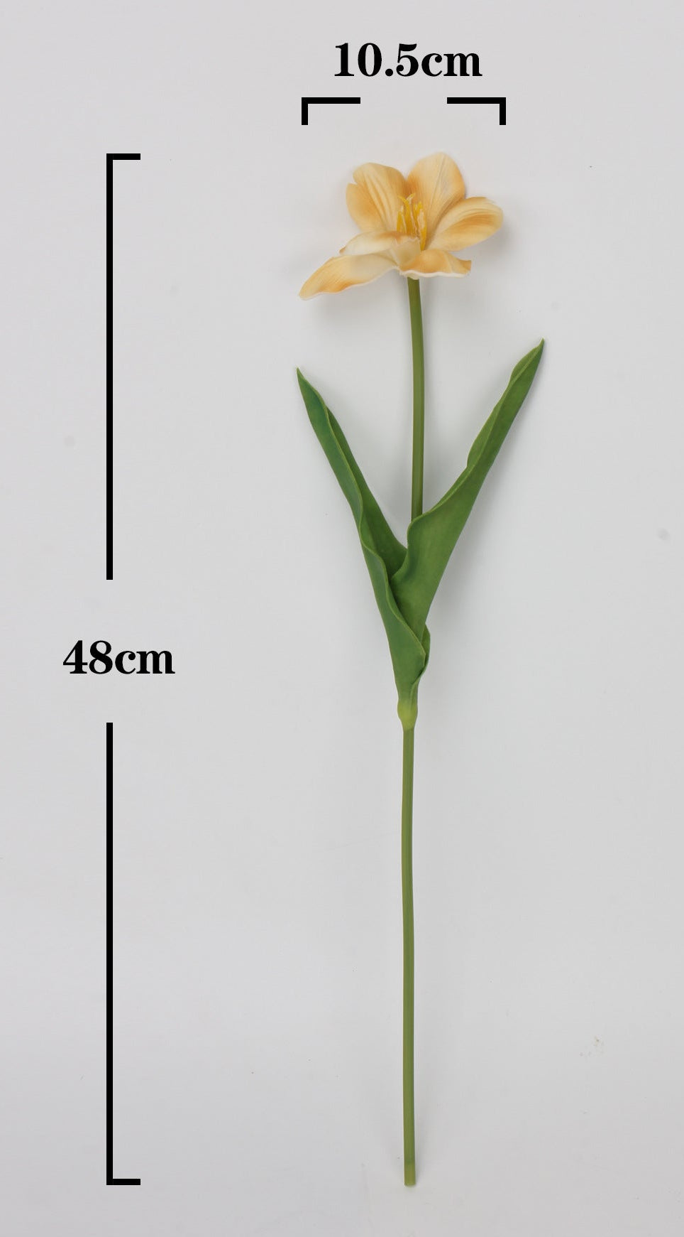 Brownie Series Real Touch Tulip with one bloom 48cm